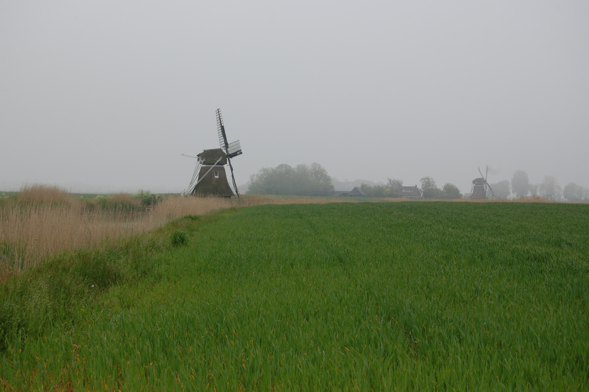 photo - Stichting Monumentenzorg Leeuwarderadeel