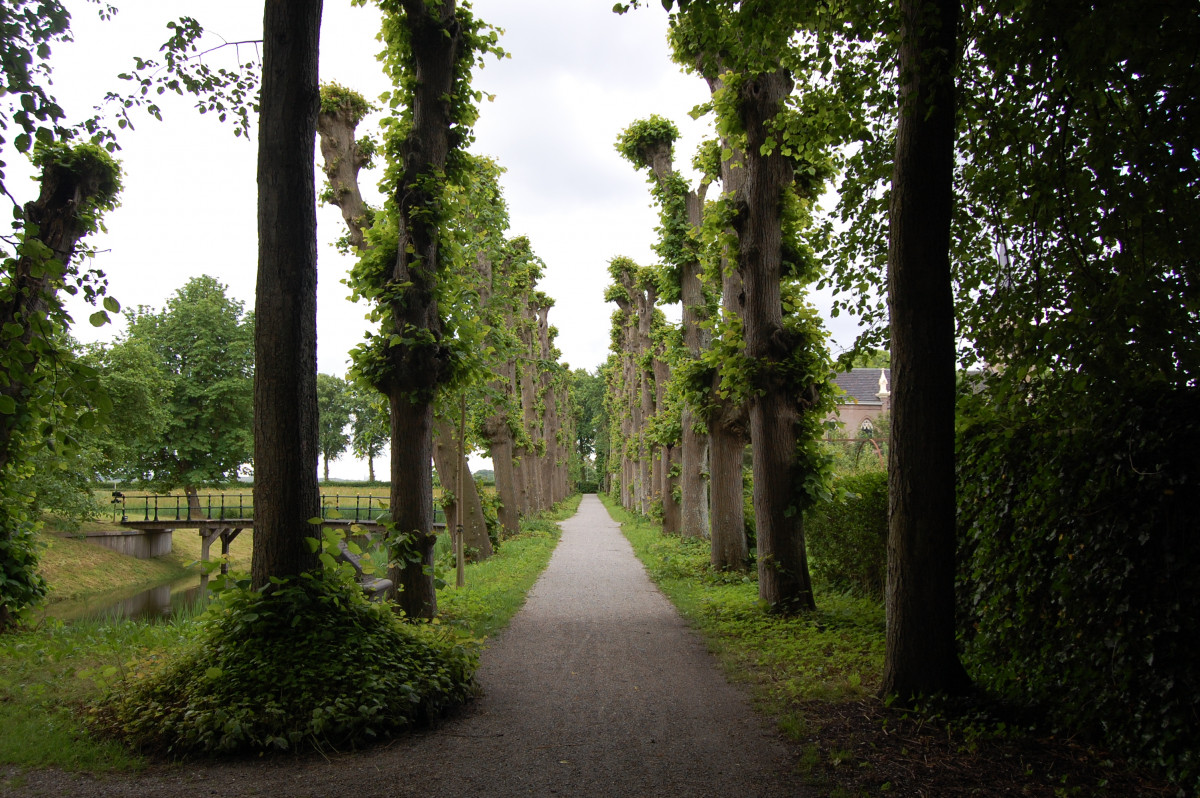 photo - Stichting Monumentenzorg Leeuwarderadeel