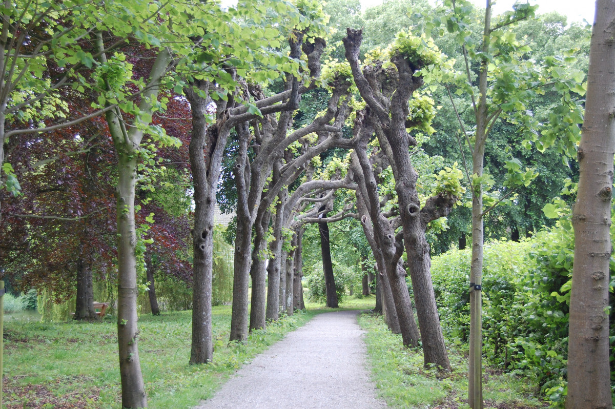 photo - Stichting Monumentenzorg Leeuwarderadeel